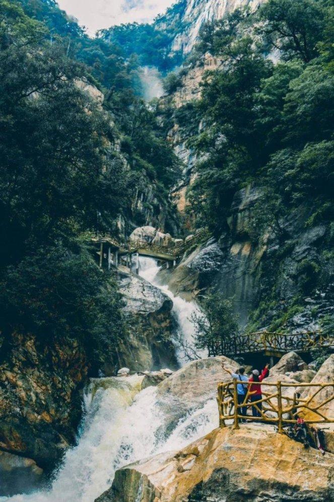 紫什么时间开花腾花游戏画面